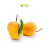 Ratnagiri Alphonso Mangoes – The King of Mangoes